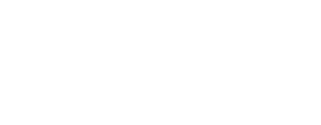 Logo Fahrschule David Reim